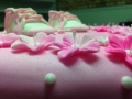 Birthday Cake 033