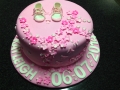 Birthday Cake 034