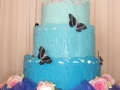 wedding-cakes-nelspruit-029