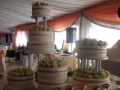 wedding-cakes-nelspruit-037