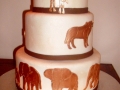 wedding-cakes-nelspruit-044