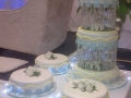 wedding-cakes-nelspruit-055